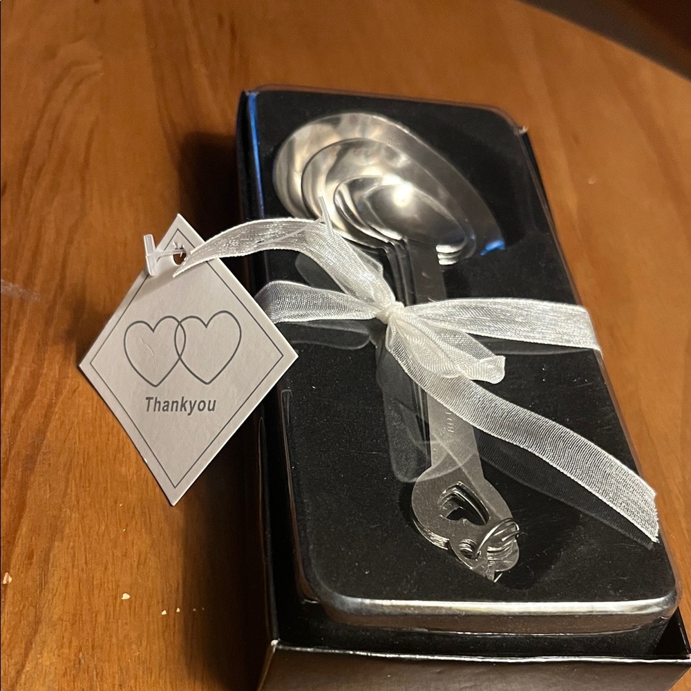 Silver Measuring Spoons Set